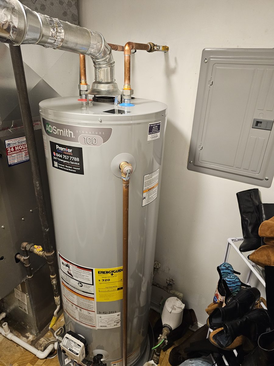 AO Smith Signature 100 standard draft installed — Elk Grove Village IL Premier Water Heaters